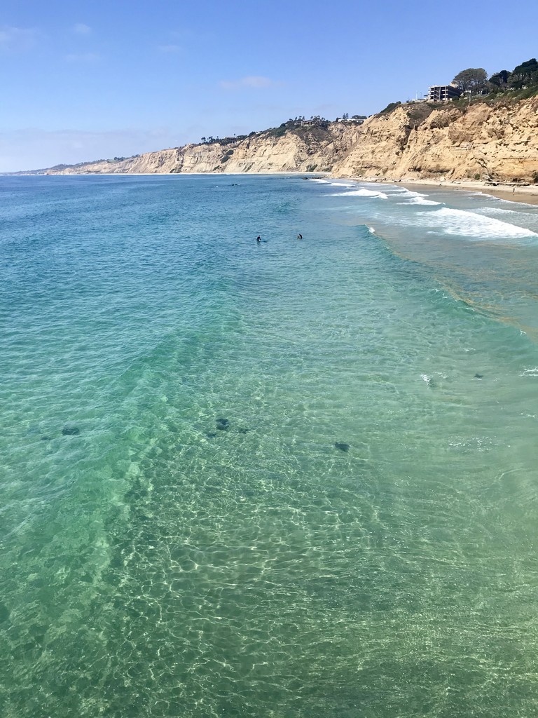 Sparkling shallow water with rays off Scripps Pier.